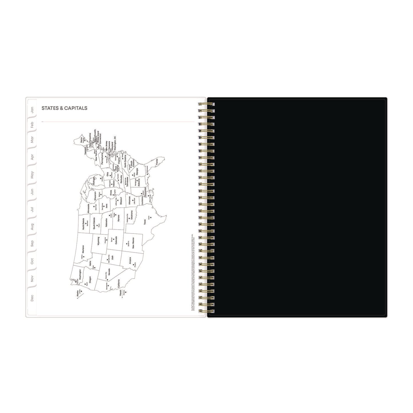 Blue Sky Nevaeh Weekly/Monthly Planner, Floral Artwork, 11 x 8.5, Black/Multicolor Cover, 12-Month (Jan to Dec): 2025 (143945)