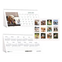 House of Doolittle Earthscapes Recycled Desk Tent Monthly Calendar, Puppies Photography, 8.5 x 4.5, White Sheets, 12-Month (Jan to Dec): 2025 (3659)