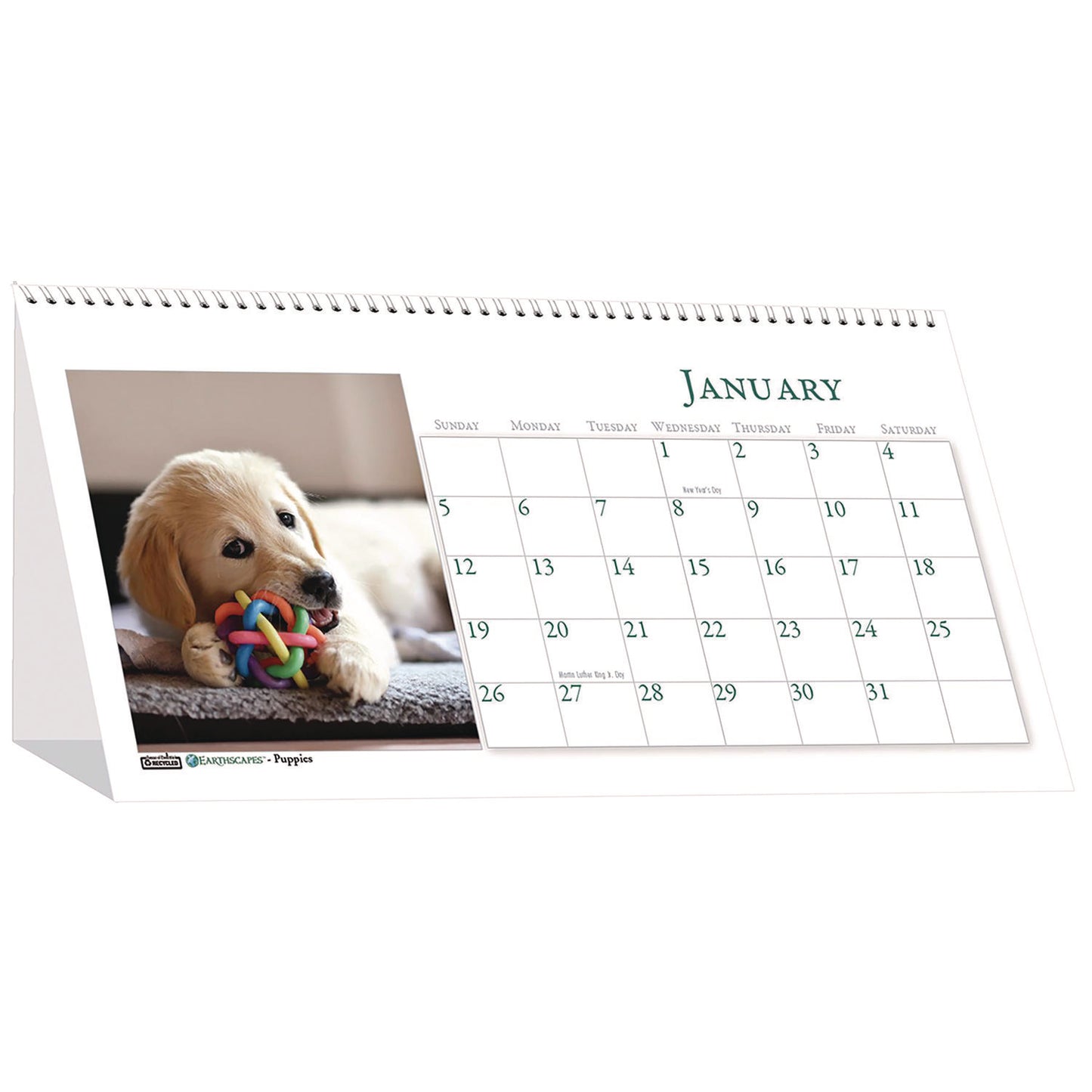 House of Doolittle Earthscapes Recycled Desk Tent Monthly Calendar, Puppies Photography, 8.5 x 4.5, White Sheets, 12-Month (Jan to Dec): 2025 (3659)