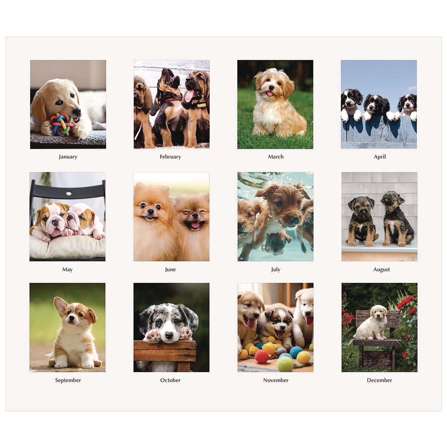 House of Doolittle Earthscapes Recycled Desk Tent Monthly Calendar, Puppies Photography, 8.5 x 4.5, White Sheets, 12-Month (Jan to Dec): 2025 (3659)
