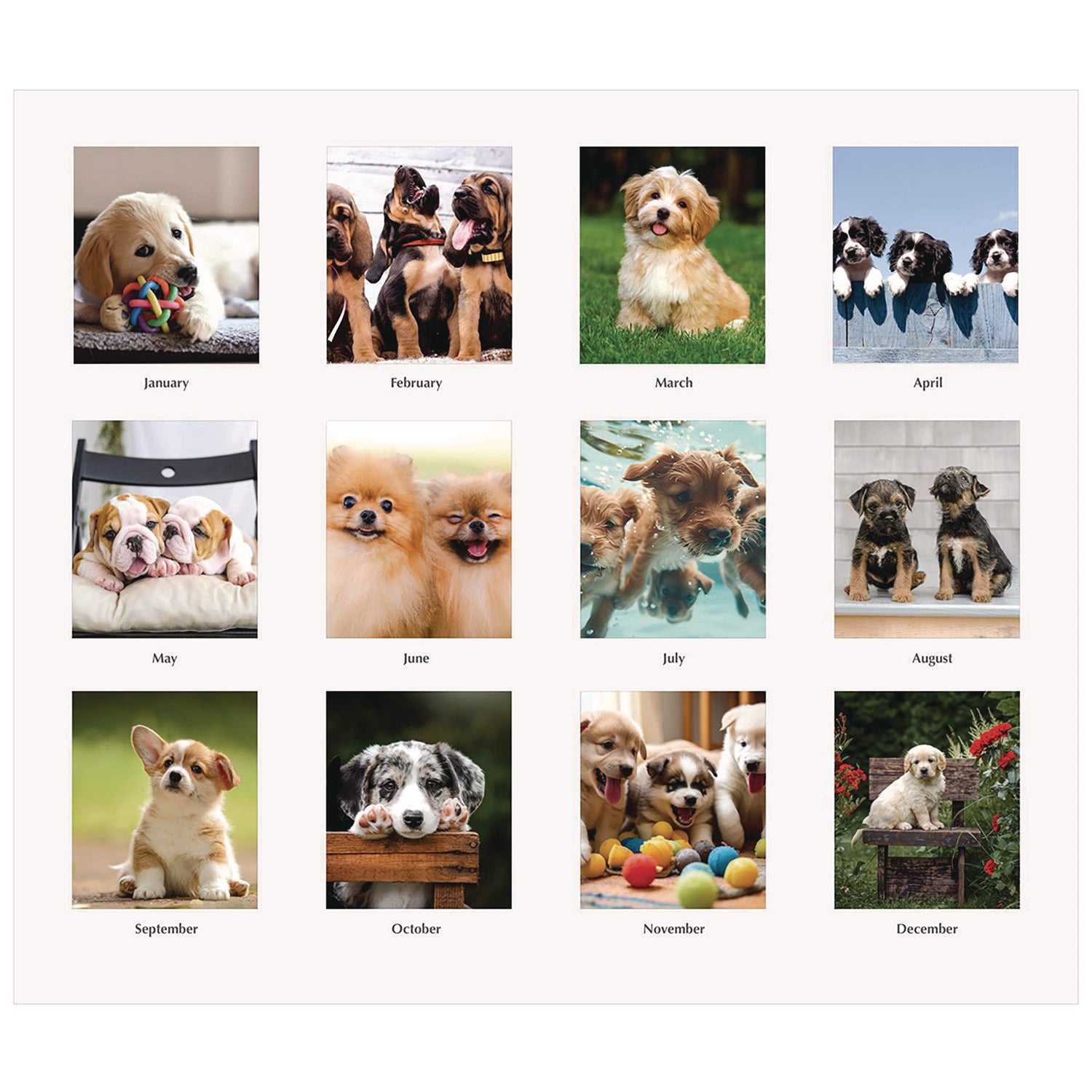 House of Doolittle Earthscapes Recycled Desk Tent Monthly Calendar, Puppies Photography, 8.5 x 4.5, White Sheets, 12-Month (Jan to Dec): 2025 (3659)