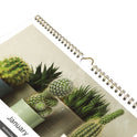 Blueline 12-Month Wall Calendar, Succulent Plants Photography, 12 x 17, White/Multicolor Sheets, 12-Month (Jan to Dec): 2025 (C173121)