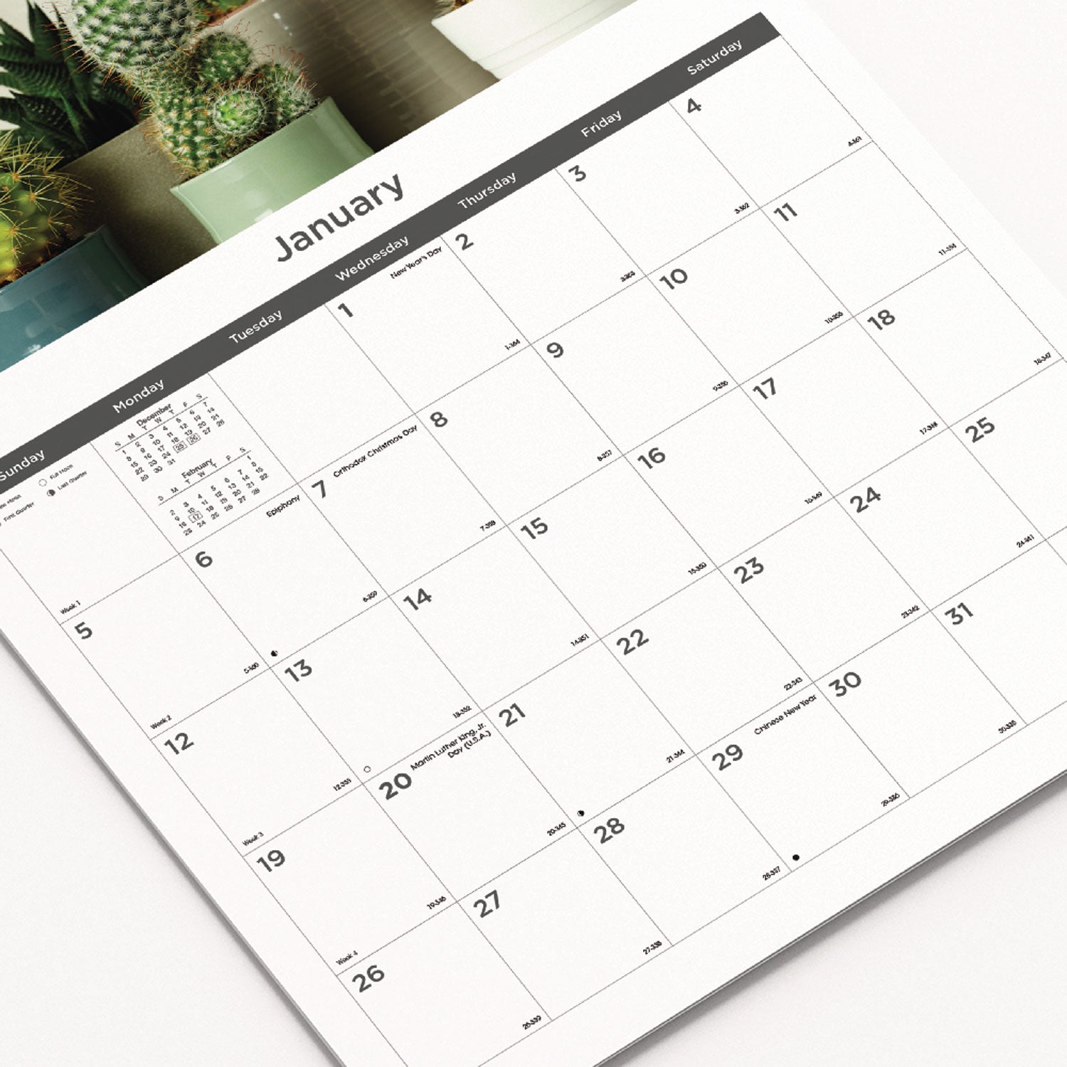 Blueline 12-Month Wall Calendar, Succulent Plants Photography, 12 x 17, White/Multicolor Sheets, 12-Month (Jan to Dec): 2025 (C173121)