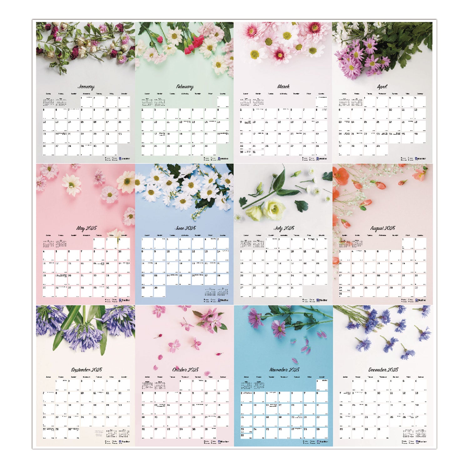 Blueline Romantic Wall Calendar, Floral Photography, 12 x 17, White/Multicolor Sheets, 12-Month (Jan to Dec): 2025 (C173122)