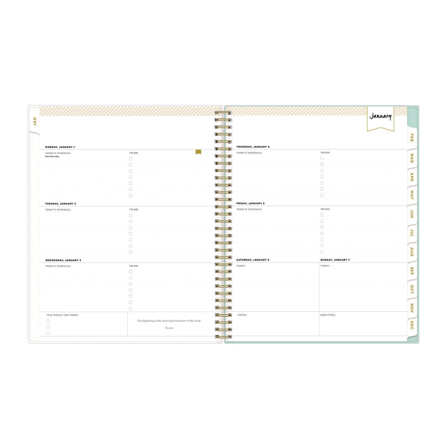 Blue Sky Day Designer Secret Garden Mint Frosted Weekly/Monthly Planner, Floral Artwork, 11 x 8.5, 12-Month (Jan to Dec): 2025 (140101)