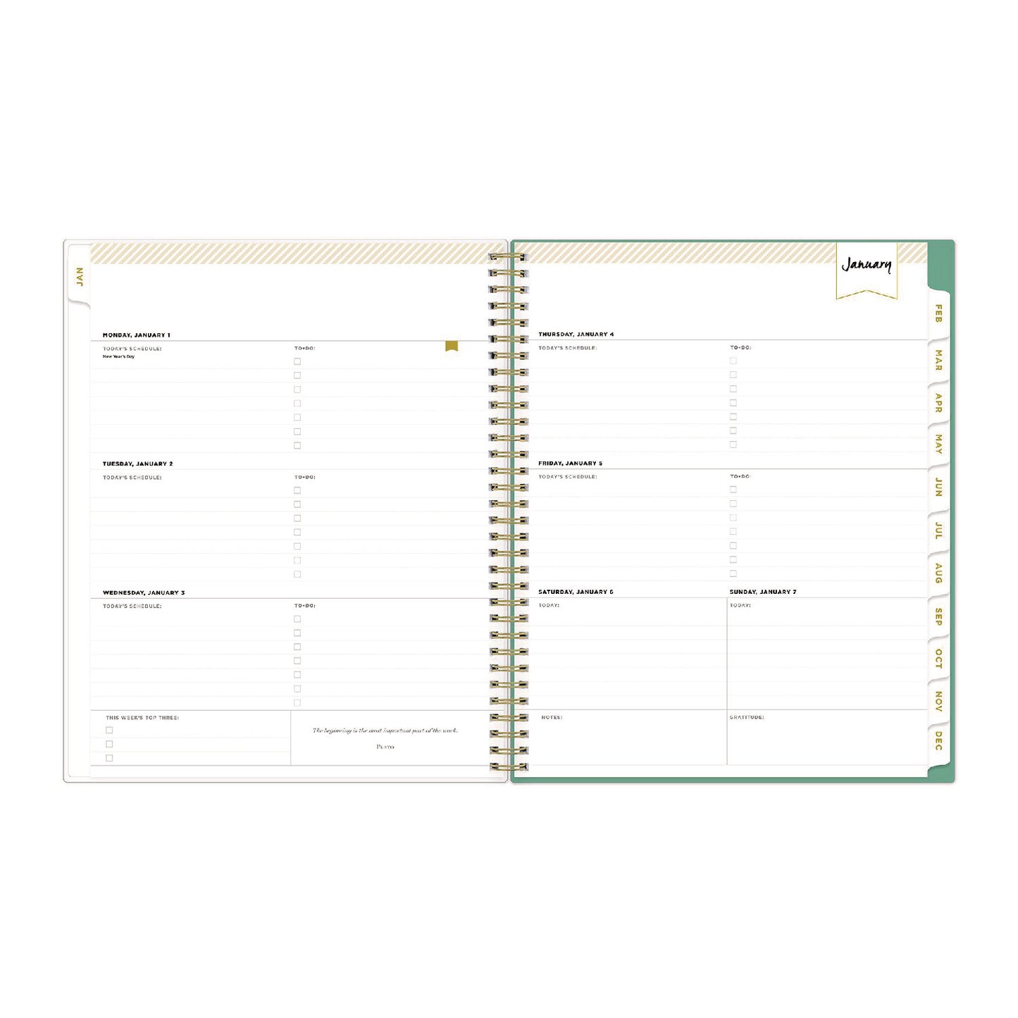 Blue Sky Day Designer Peyton Create-Your-Own Cover Weekly/Monthly Planner, Floral Artwork, 11 x 8.5, White, 12-Month (Jan-Dec): 2025 (103618)