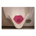 Fresh Products WCBasix Urinal Screen, Apple Cinnamon Scent, Red, 0.11 oz, 10/Box (WCBX10SABX)