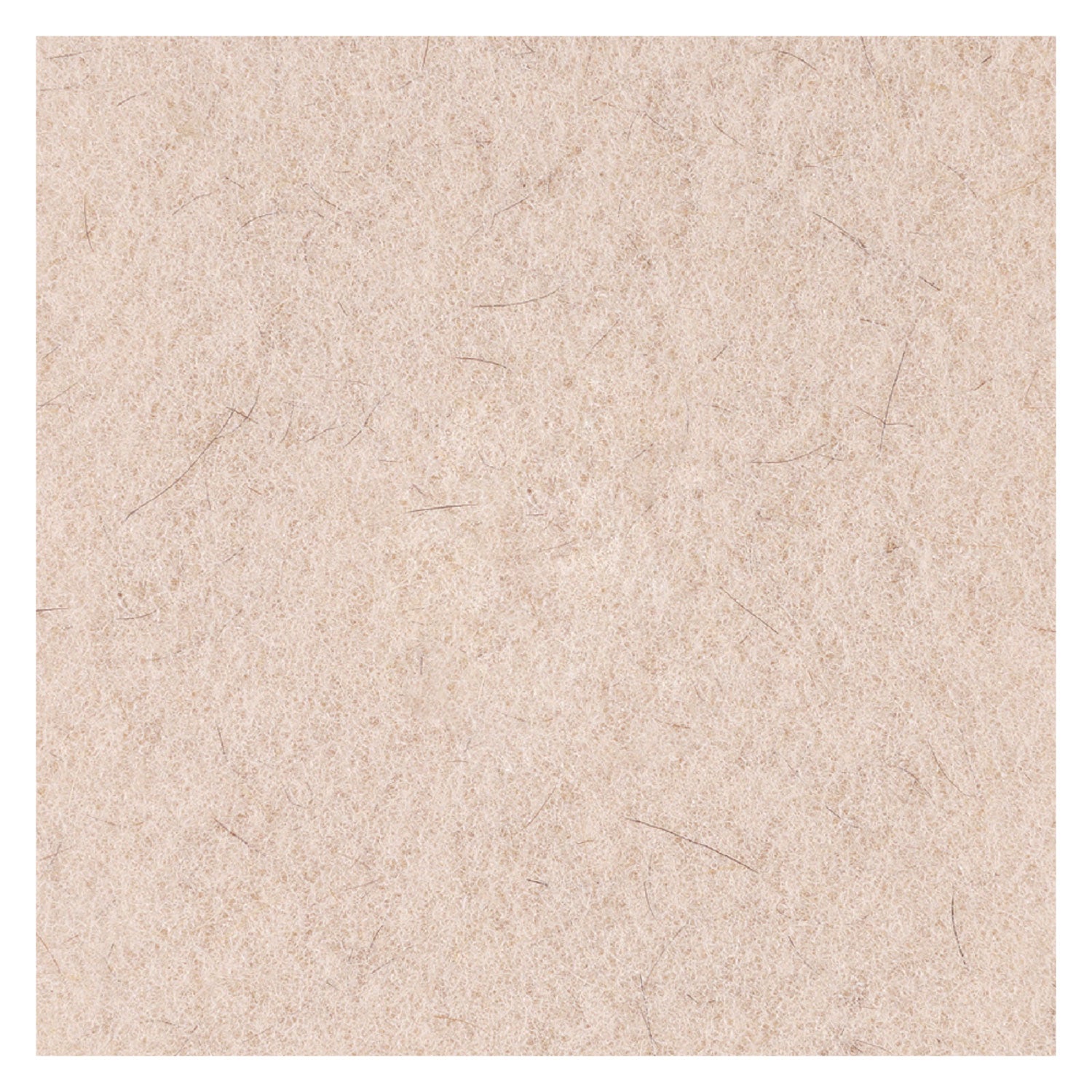 Boardwalk Natural Hog Hair Burnishing Floor Pads, 17" Diameter, Tan, 5/Carton (4017NHE)