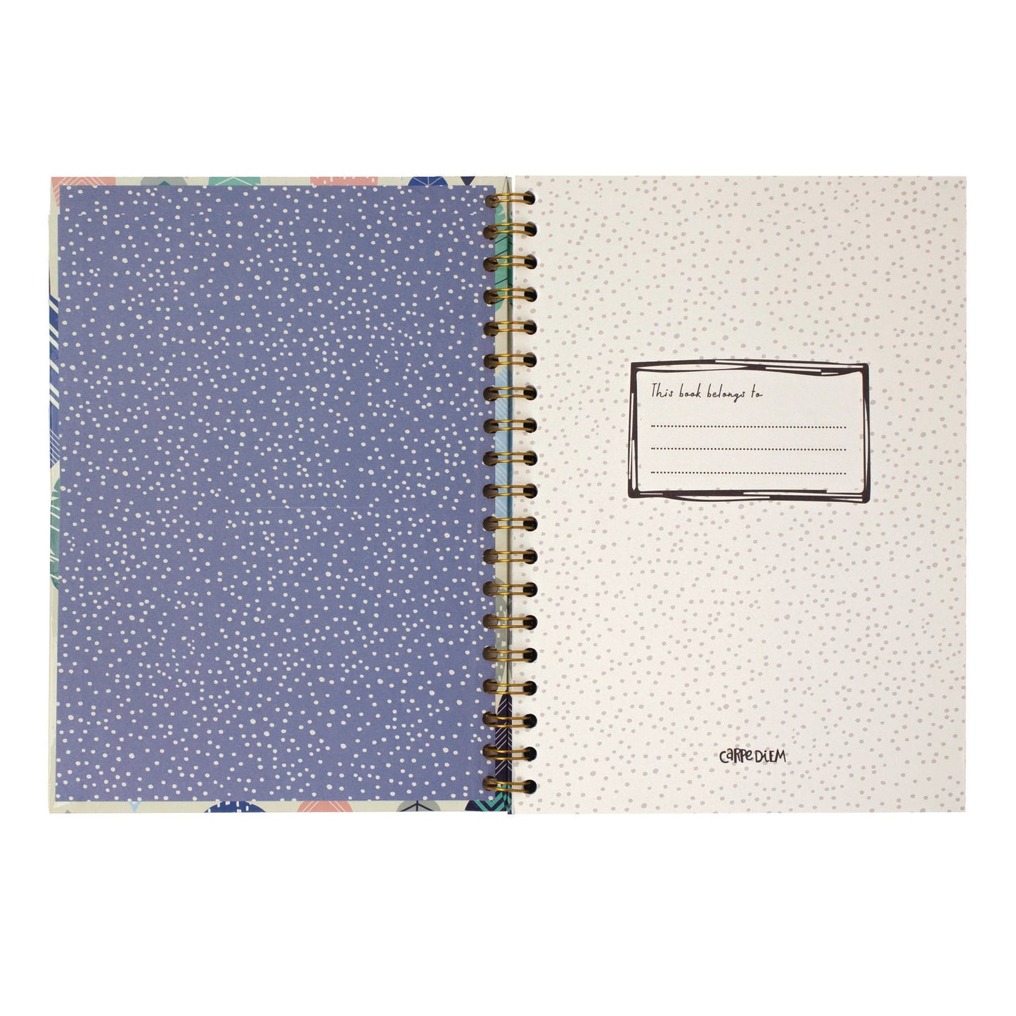 PUKKA PAD B5 Size Notebook, 1 -Subject, Medium/College Rule, Design Cover, (80) 9.8 x 6.9 Sheets, 3/Pack (9379CD)