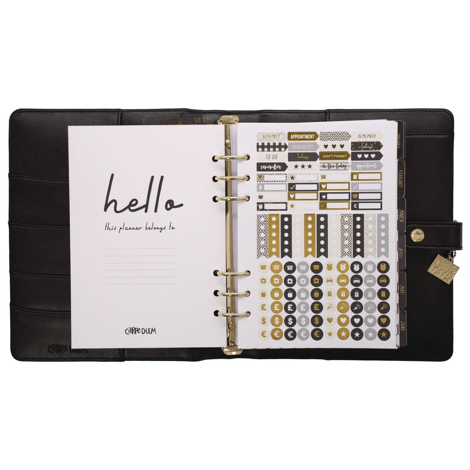 PUKKA PAD A5 Planner, 10.24 x 9.25, Black Cover, 12-Month (9109CD)