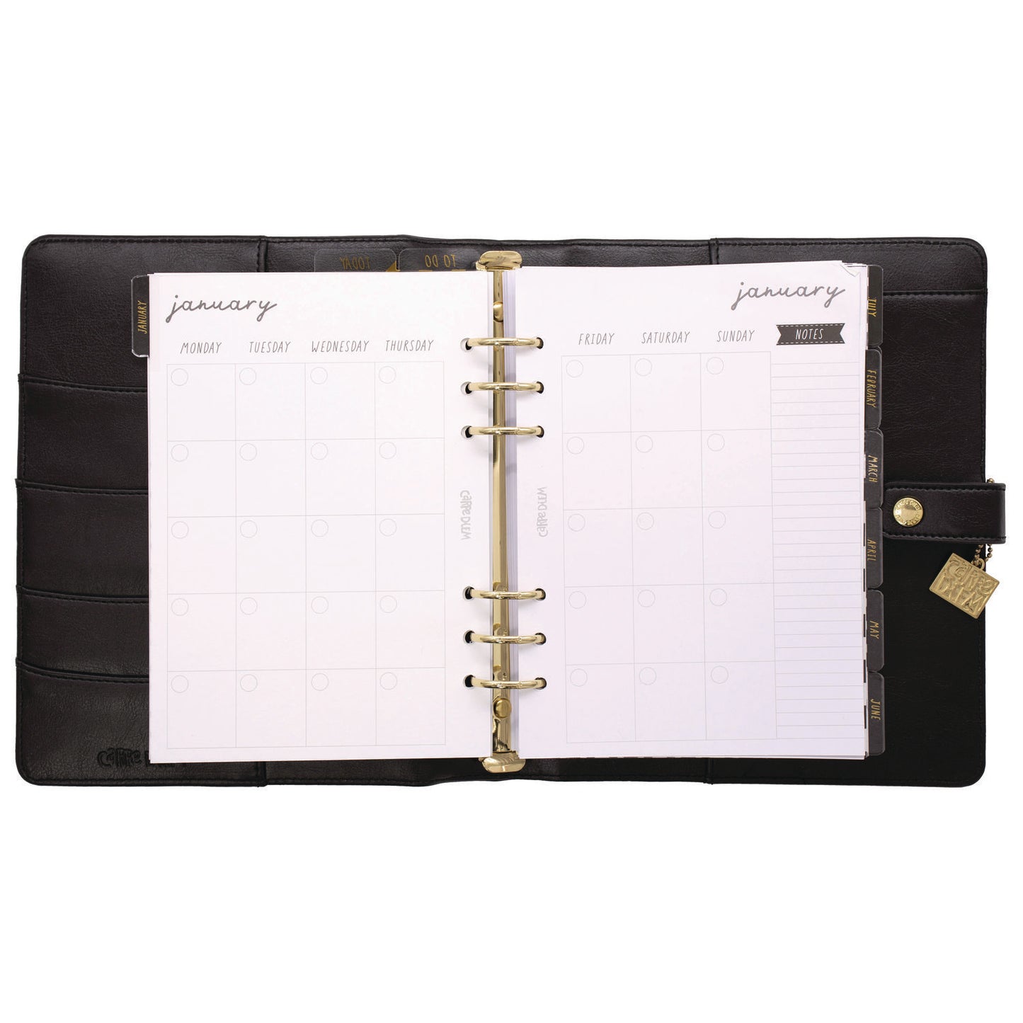 PUKKA PAD A5 Planner, 10.24 x 9.25, Black Cover, 12-Month (9109CD)