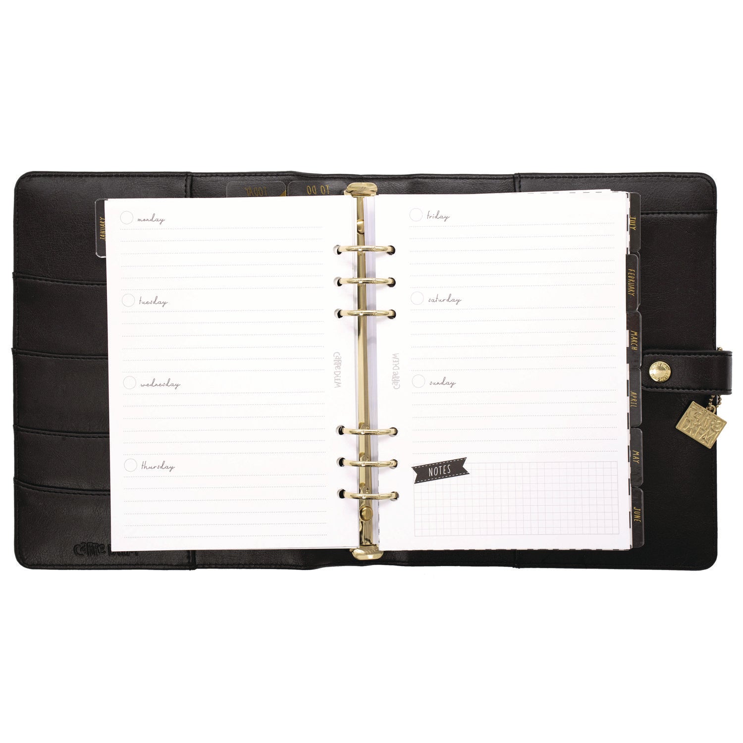 PUKKA PAD A5 Planner, 10.24 x 9.25, Black Cover, 12-Month (9109CD)