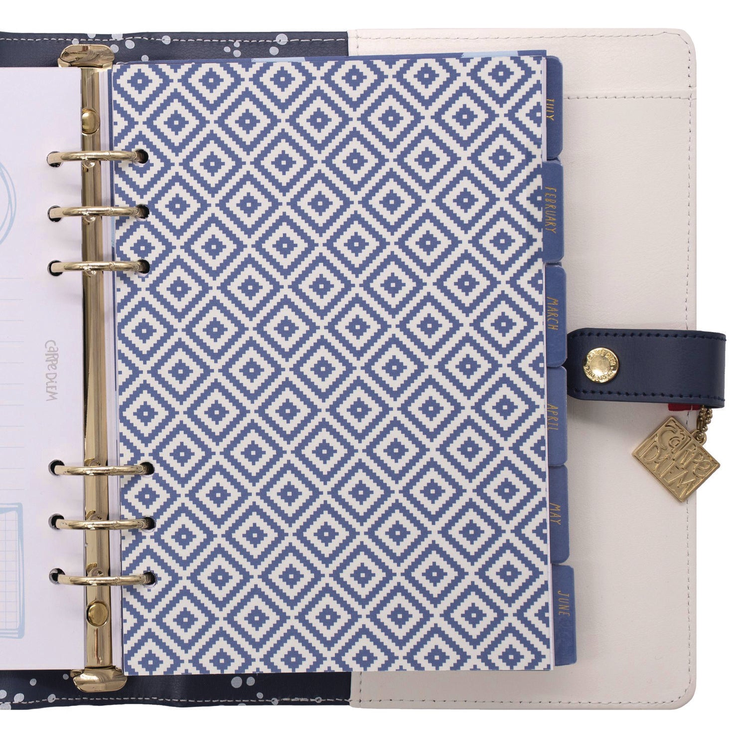 PUKKA PAD A5 Planner, Color Wash, 10.24 x 9.25, Blue/Green/Red/Yellow Cover, 12-Month (9179CD)