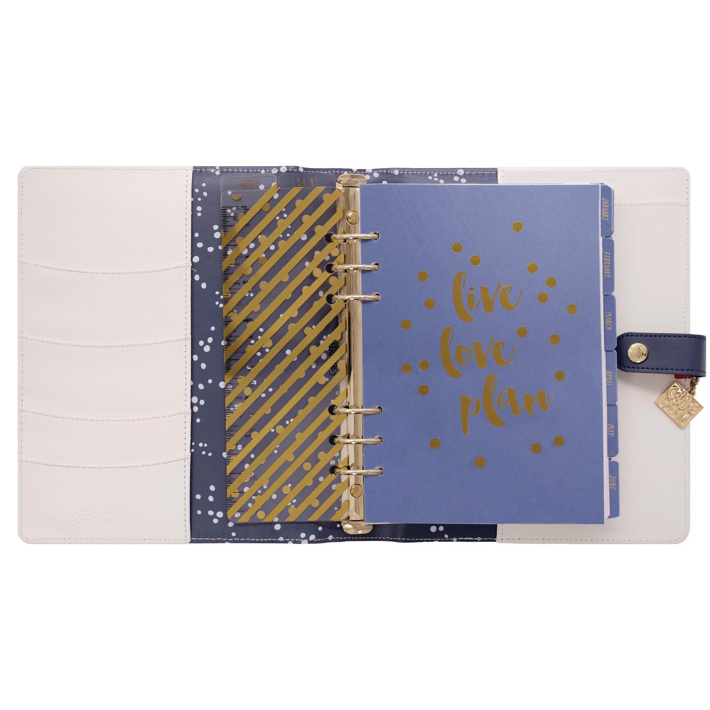 PUKKA PAD A5 Planner, Color Wash, 10.24 x 9.25, Blue/Green/Red/Yellow Cover, 12-Month (9179CD)