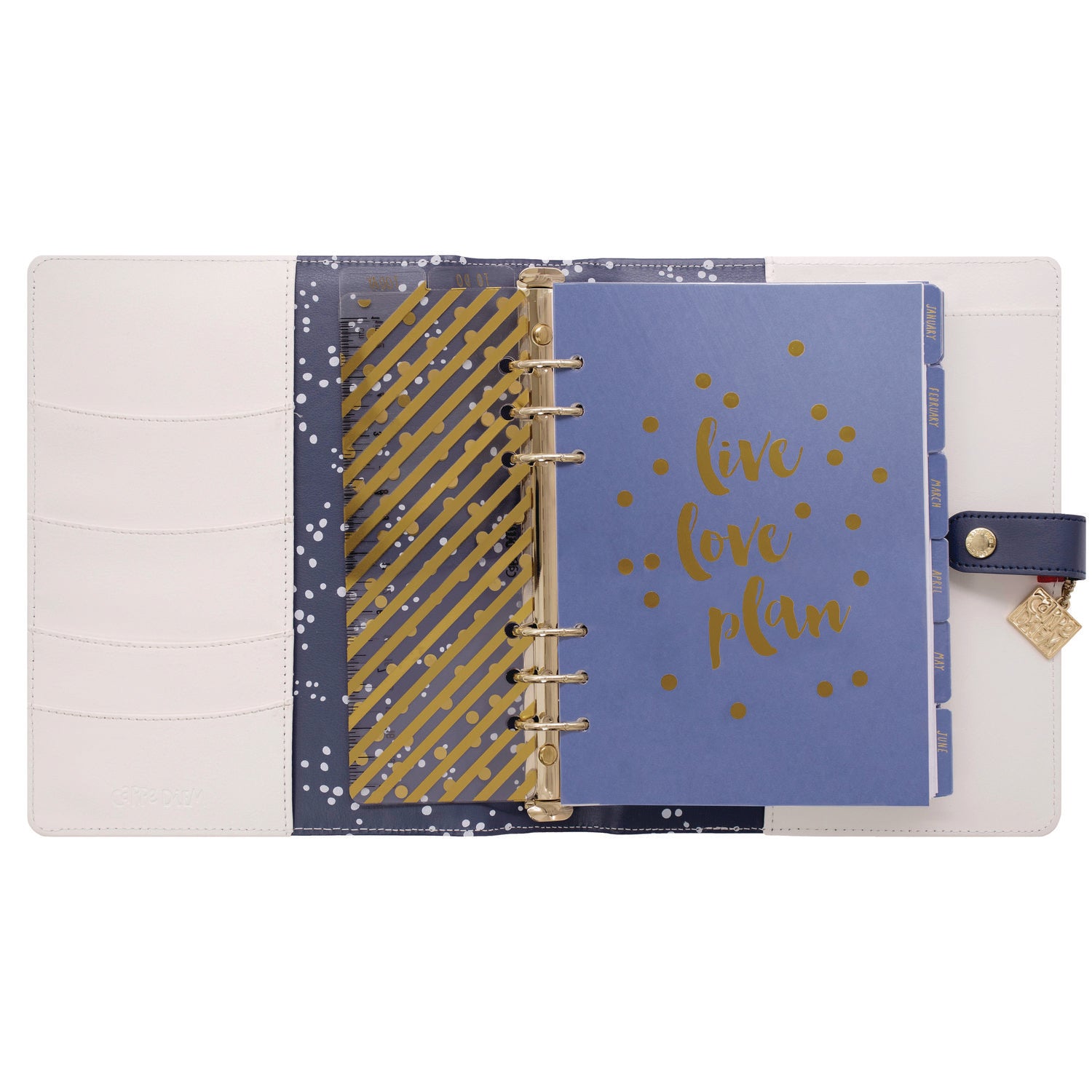 PUKKA PAD A5 Planner, Color Wash, 10.24 x 9.25, Blue/Green/Red/Yellow Cover, 12-Month (9179CD)