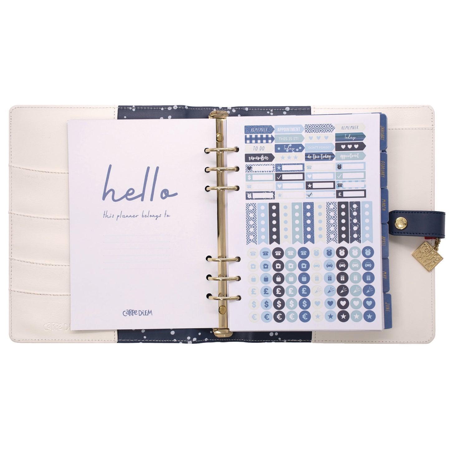 PUKKA PAD A5 Planner, Color Wash, 10.24 x 9.25, Blue/Green/Red/Yellow Cover, 12-Month (9179CD)