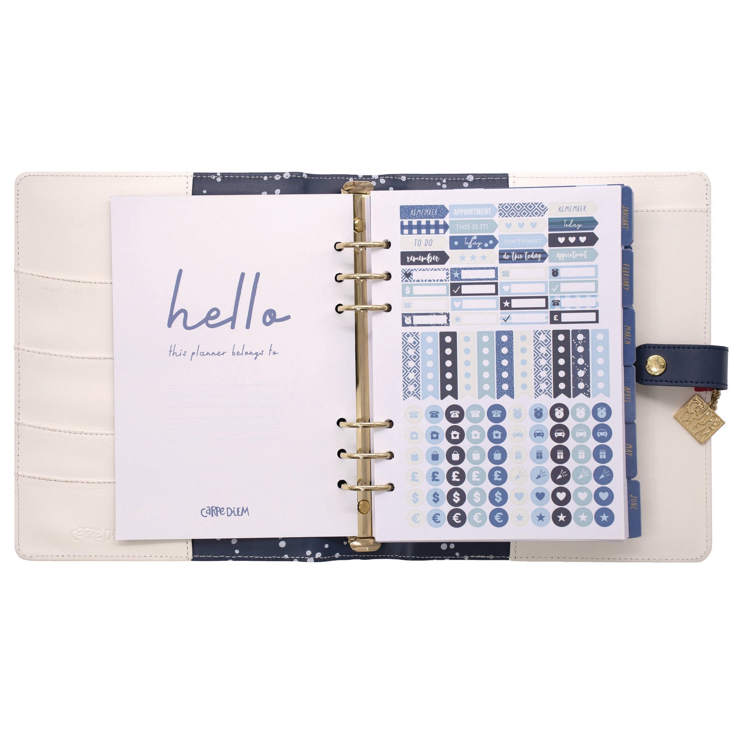PUKKA PAD A5 Planner, Color Wash, 10.24 x 9.25, Blue/Green/Red/Yellow Cover, 12-Month (9179CD)