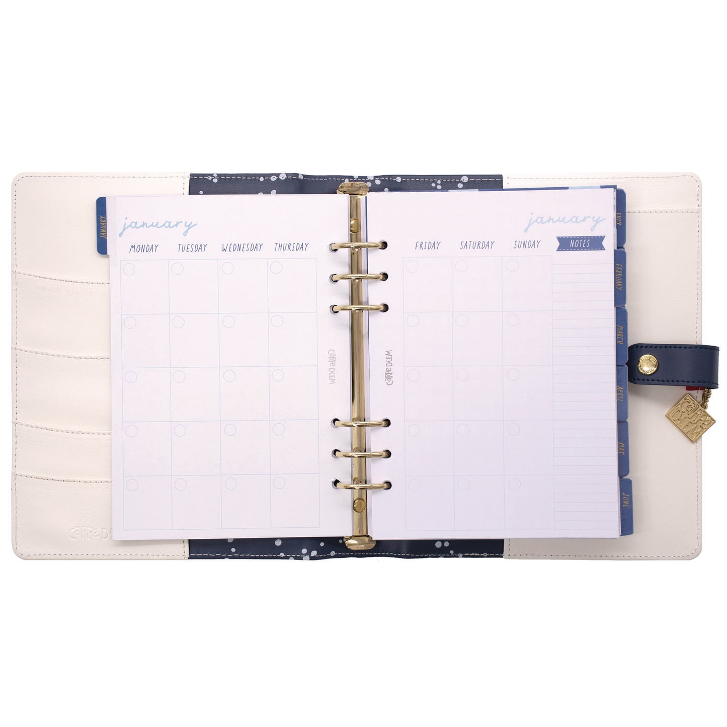 PUKKA PAD A5 Planner, Color Wash, 10.24 x 9.25, Blue/Green/Red/Yellow Cover, 12-Month (9179CD)