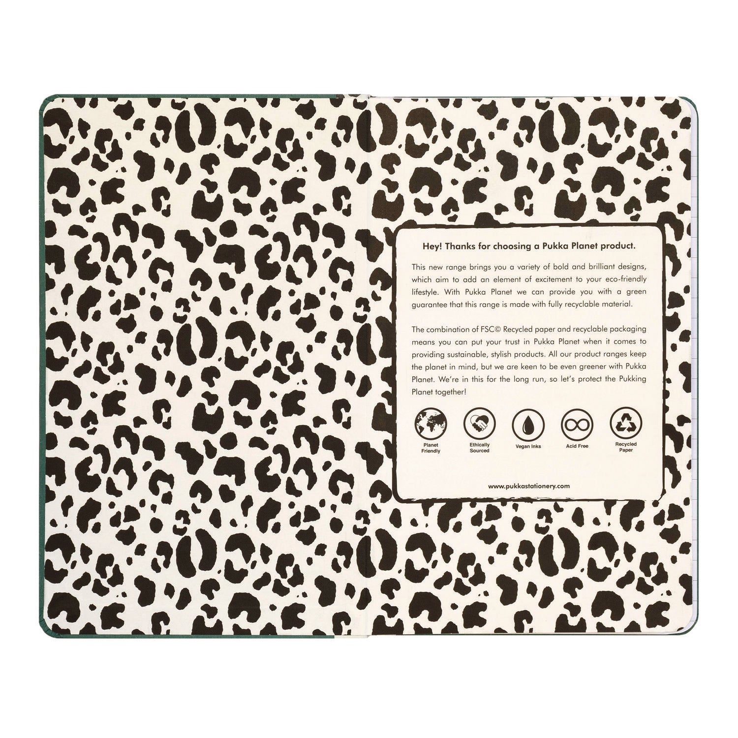 PUKKA PAD Soft Cover Eco Notebook, 1-Subject, Medium/College Rule, Green/Black/White Cover, (96) 8.3 x 5.8 Sheets (9704SPP)