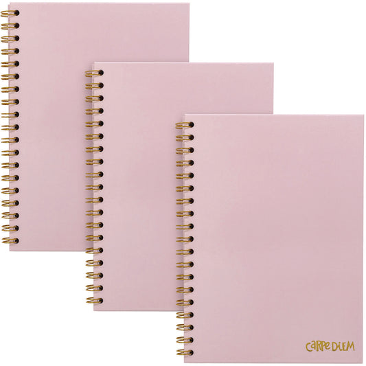 PUKKA PAD B5 Size Notebook, 1 -Subject, Medium/College Rule, Pink Cover, (80) 9.8 x 6.9 Sheets, 3/Pack (9376CD)