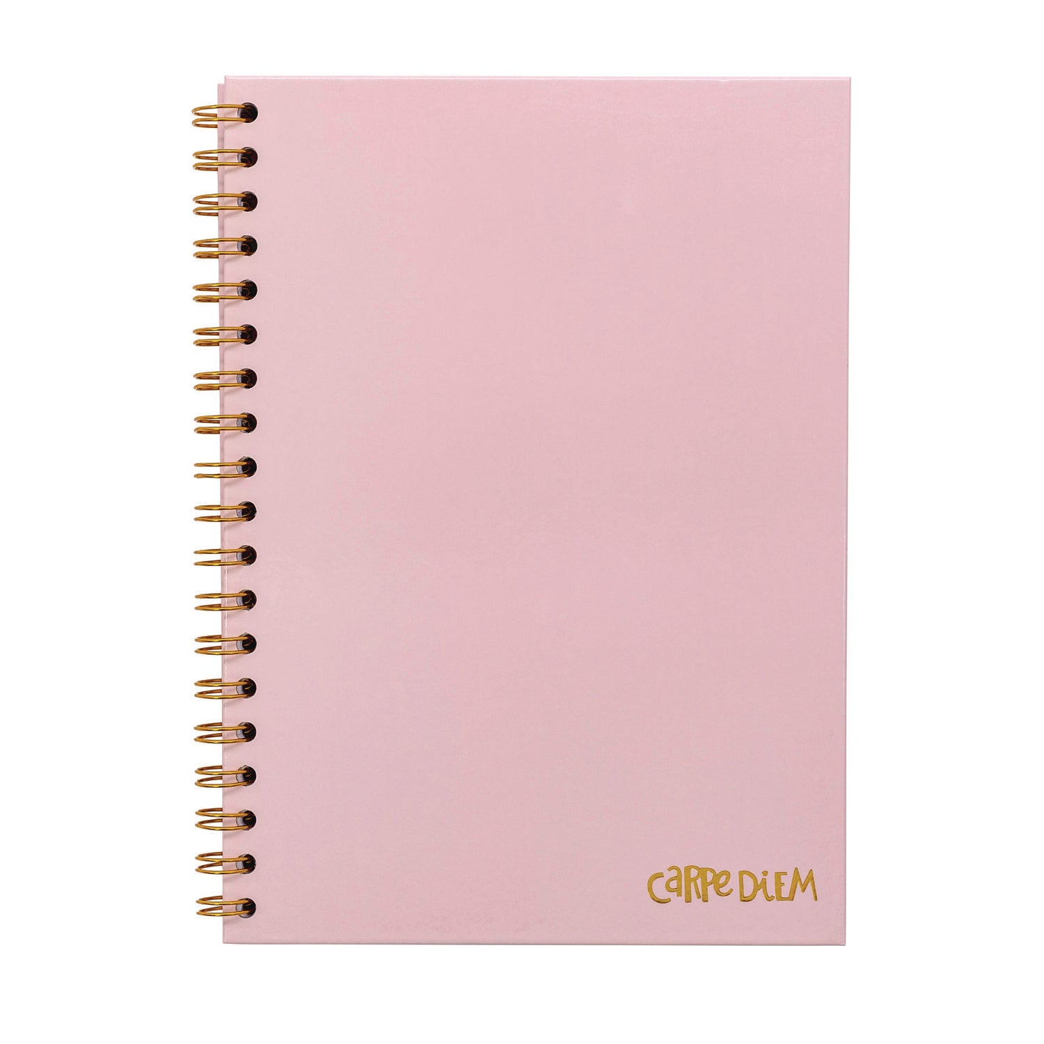 PUKKA PAD B5 Size Notebook, 1 -Subject, Medium/College Rule, Pink Cover, (80) 9.8 x 6.9 Sheets, 3/Pack (9376CD)