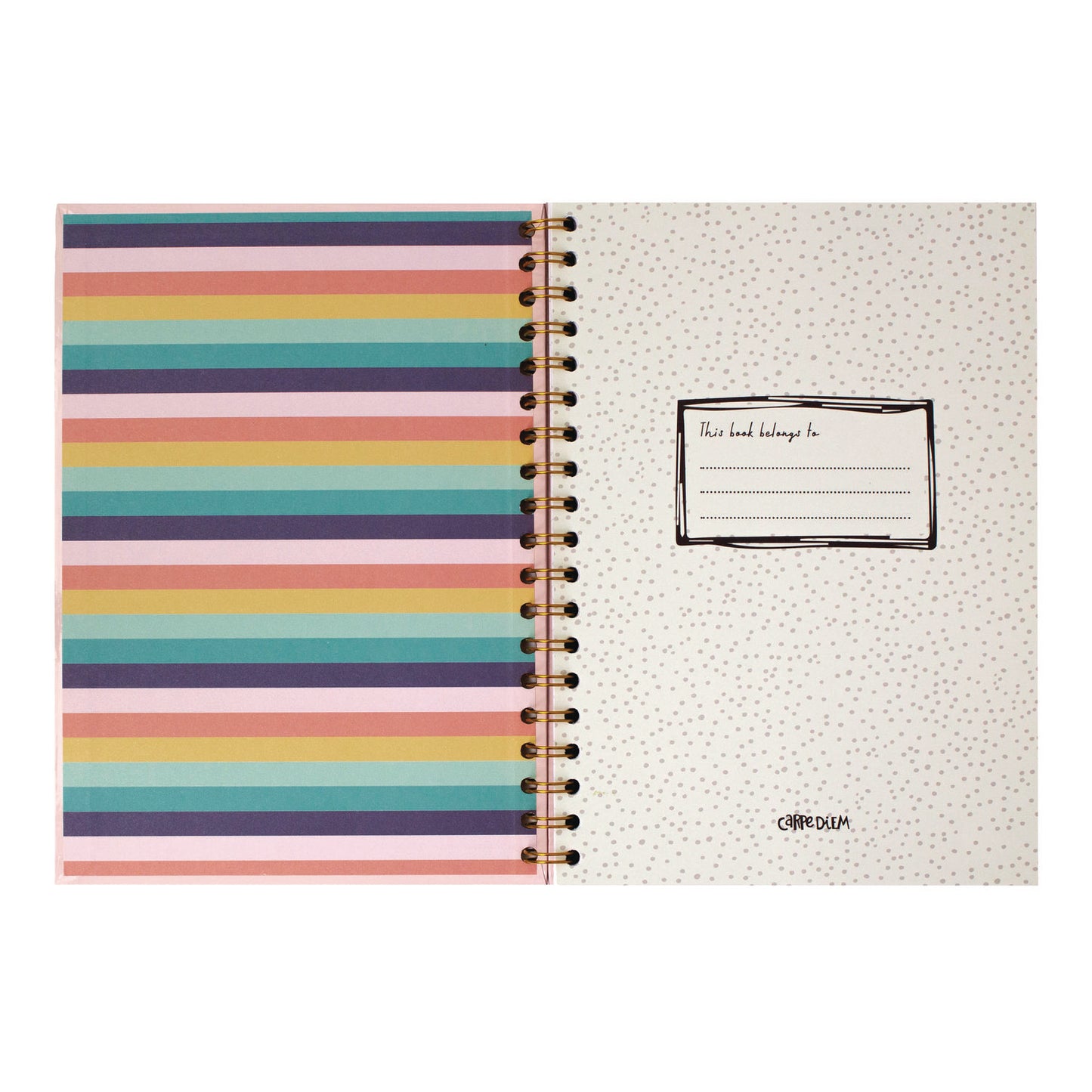 PUKKA PAD B5 Size Notebook, 1 -Subject, Medium/College Rule, Pink Cover, (80) 9.8 x 6.9 Sheets, 3/Pack (9376CD)