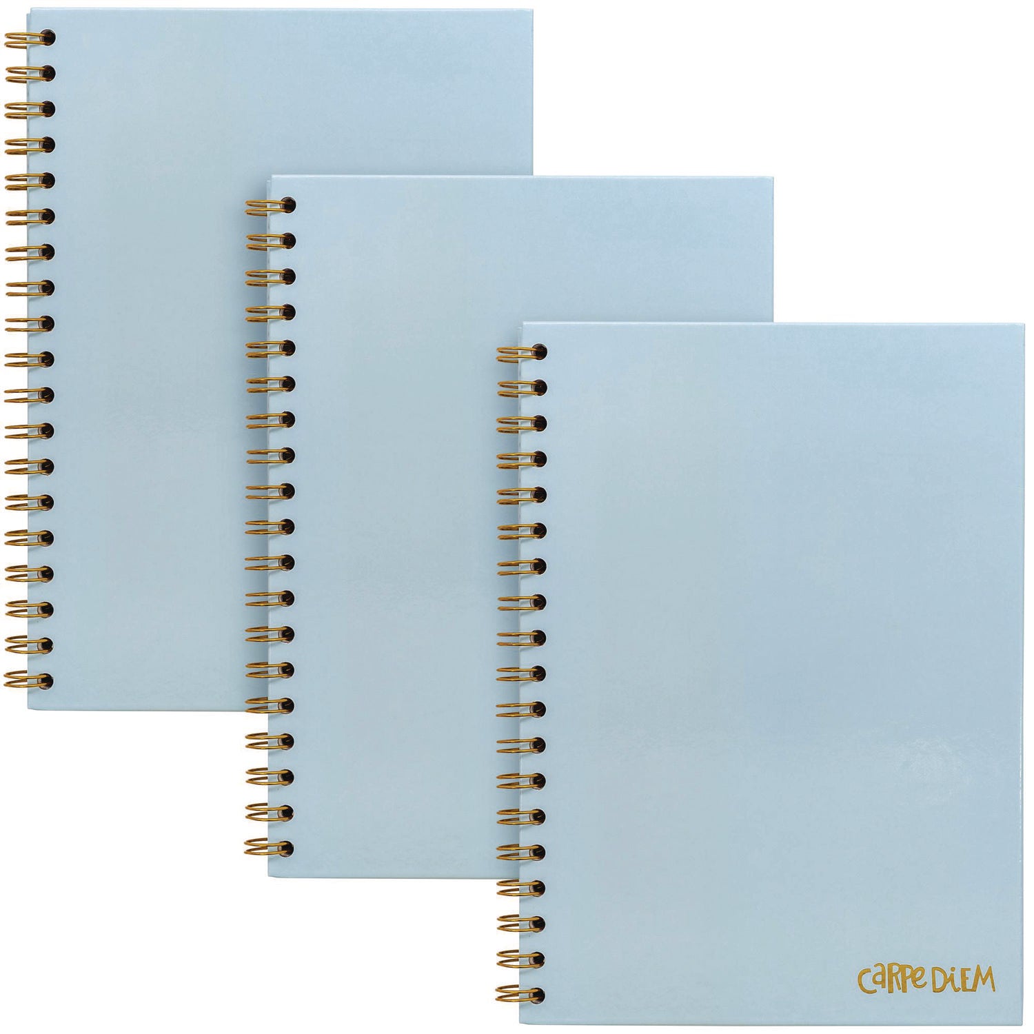 PUKKA PAD B5 Size Notebook, 1 -Subject, Medium/College Rule, Blue Cover, (80) 9.8 x 6.9 Sheets, 3/Pack (9378CD)