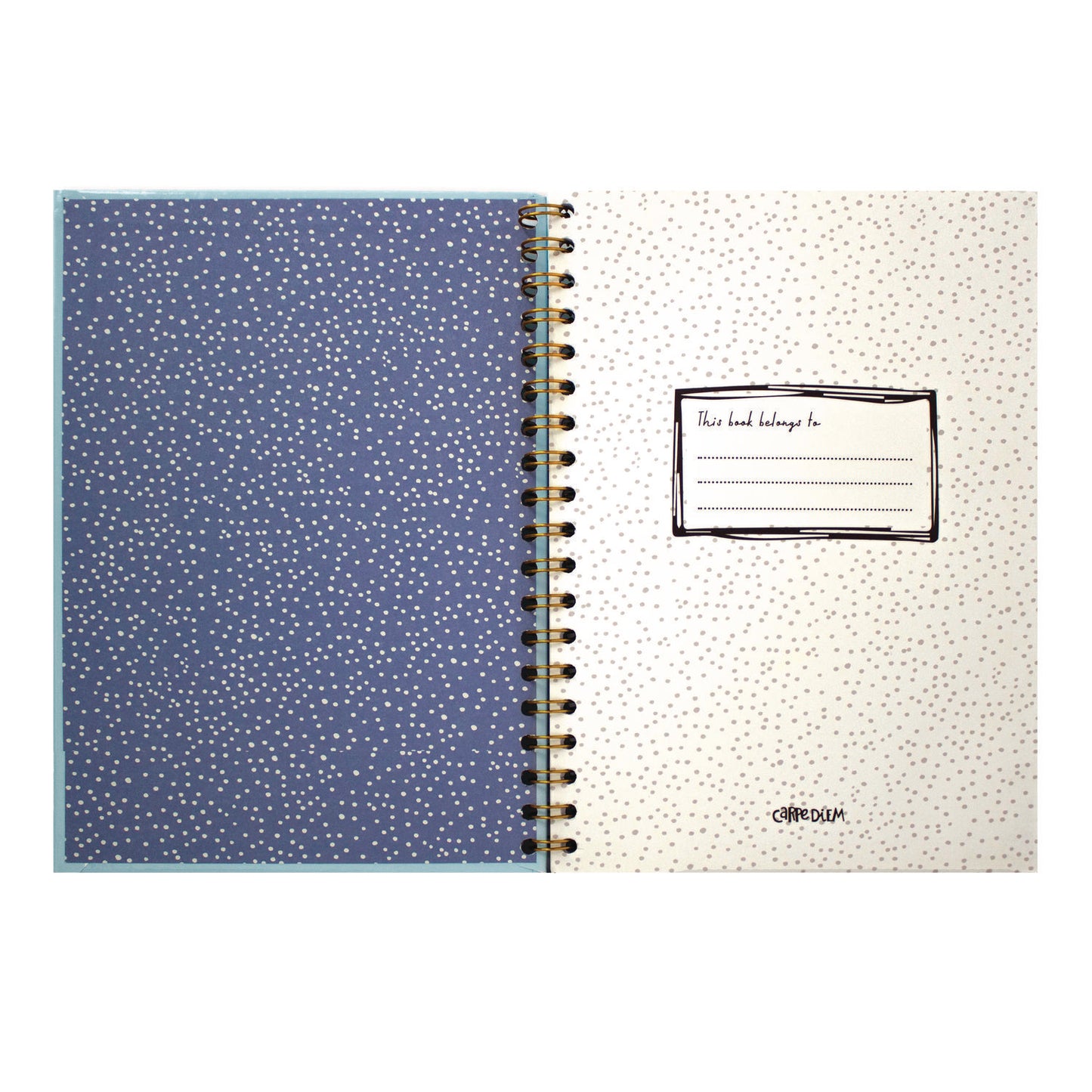 PUKKA PAD B5 Size Notebook, 1 -Subject, Medium/College Rule, Blue Cover, (80) 9.8 x 6.9 Sheets, 3/Pack (9378CD)