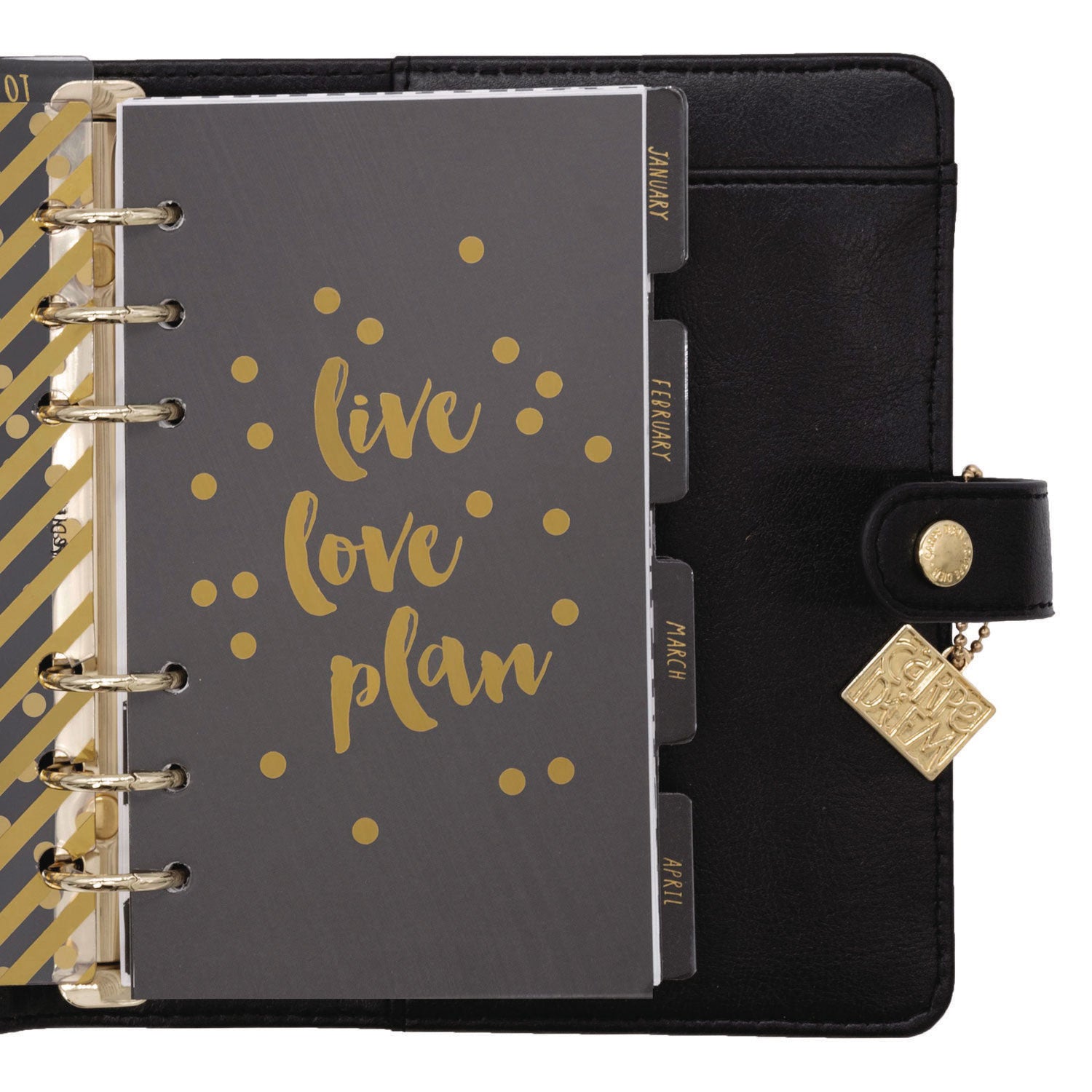 PUKKA PAD Personal Planner, 7.48 x 6.42, Black Cover, 12-Month, Undated (9110CD)