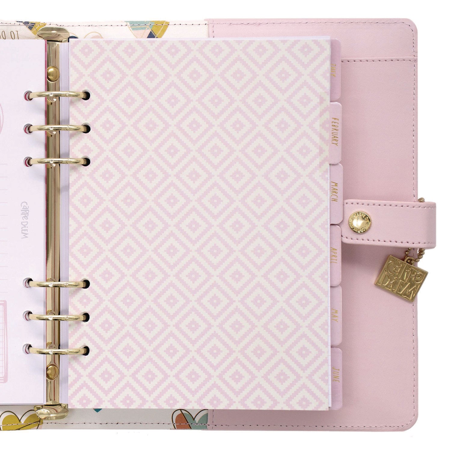 PUKKA PAD A5 Planner, 10.24 x 9.25, Pink Cover, 12-Month (9152CD)