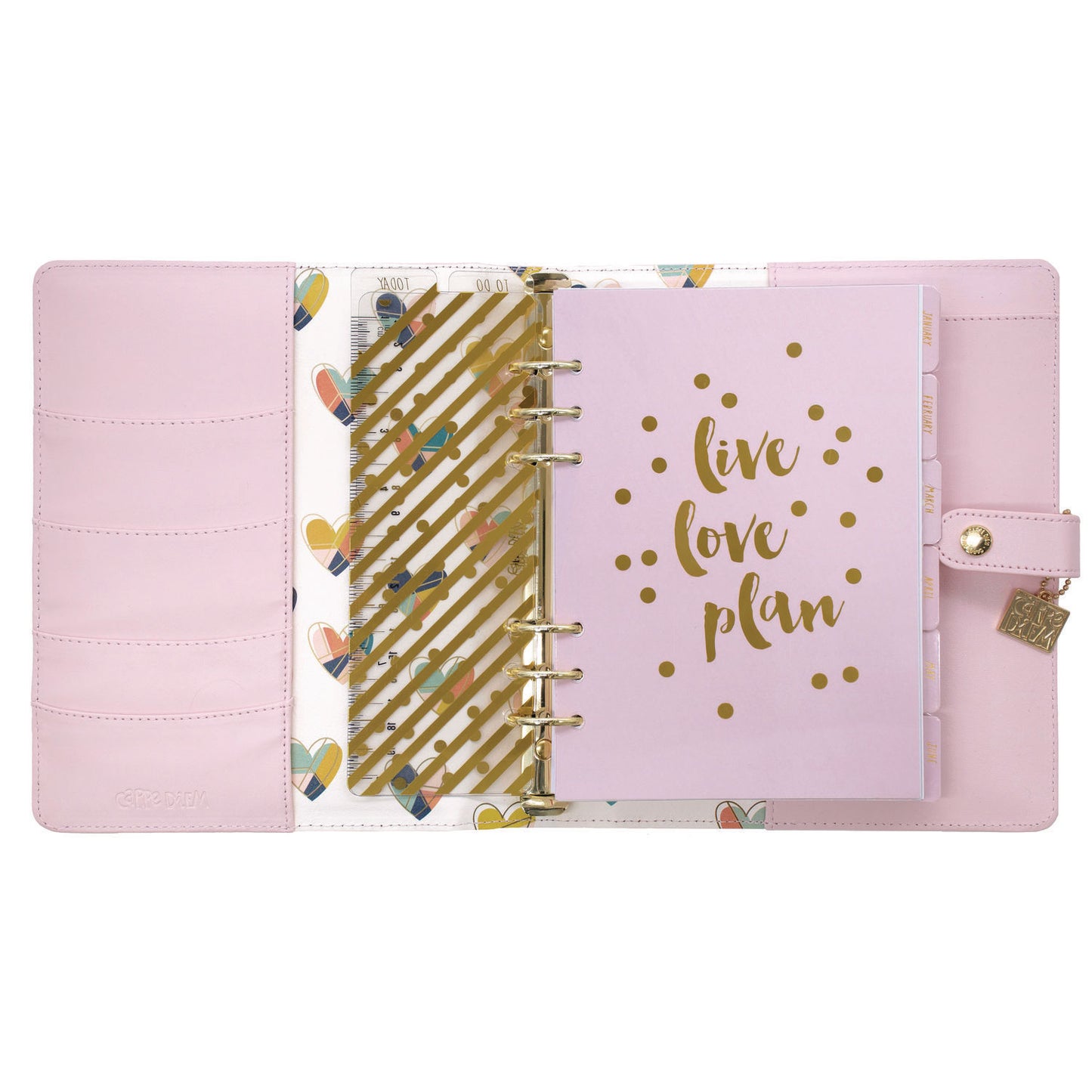 PUKKA PAD A5 Planner, 10.24 x 9.25, Pink Cover, 12-Month (9152CD)