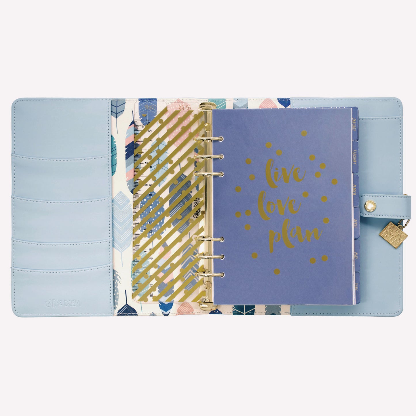 PUKKA PAD A5 Planner, 10.24 x 9.25, Blue Cover, 12-Month (9164CD)