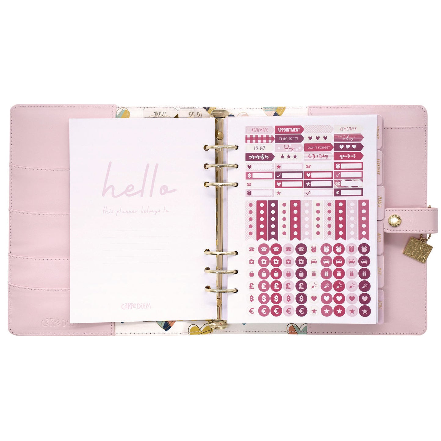 PUKKA PAD A5 Planner, 10.24 x 9.25, Pink Cover, 12-Month (9152CD)