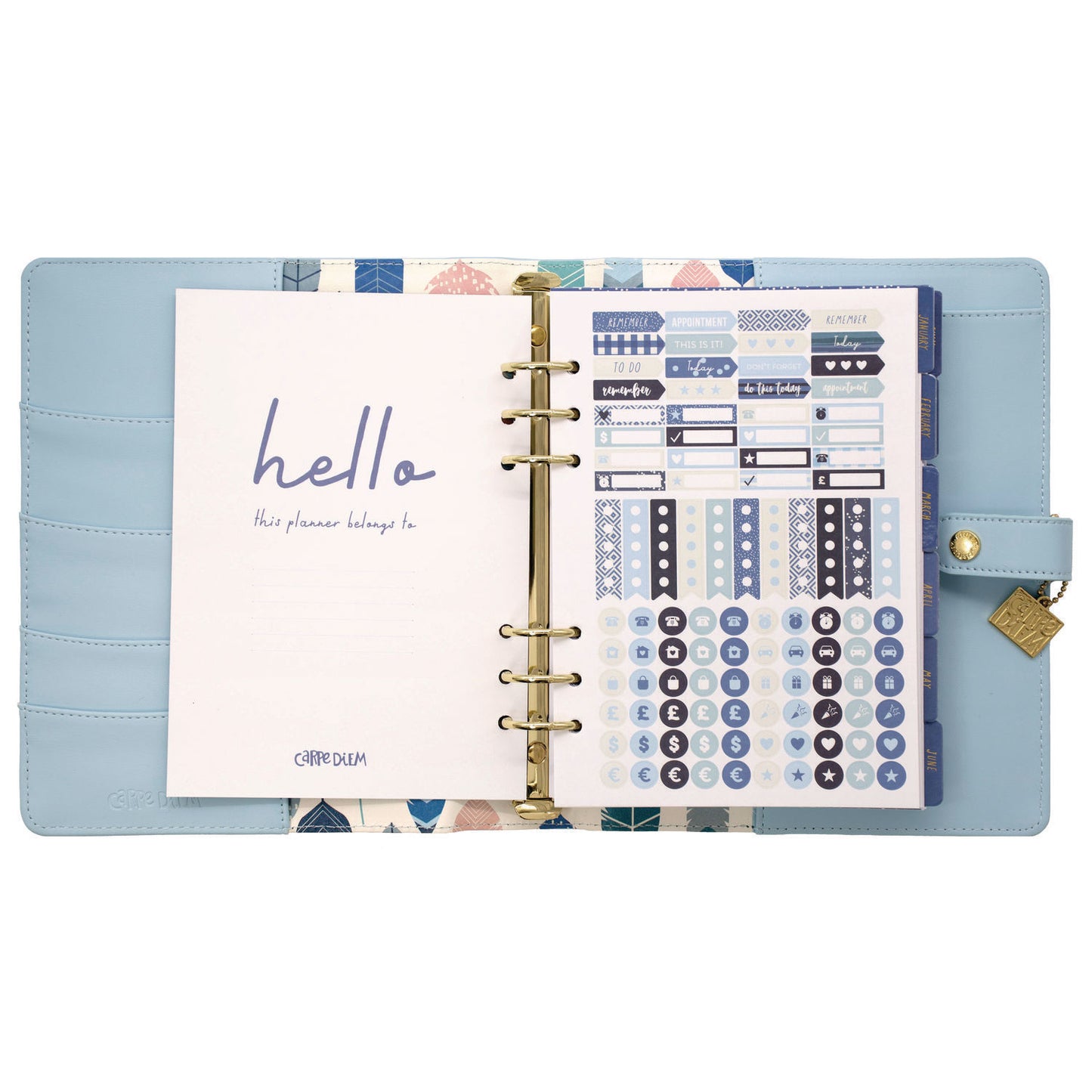 PUKKA PAD A5 Planner, 10.24 x 9.25, Blue Cover, 12-Month (9164CD)