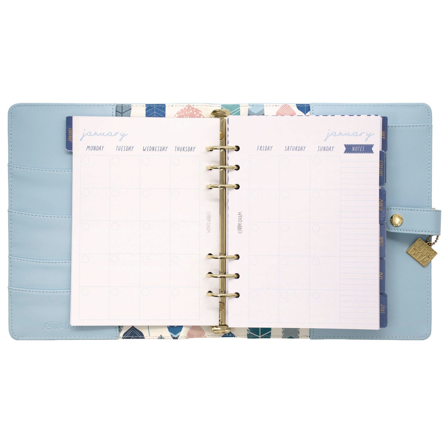 PUKKA PAD A5 Planner, 10.24 x 9.25, Blue Cover, 12-Month (9164CD)