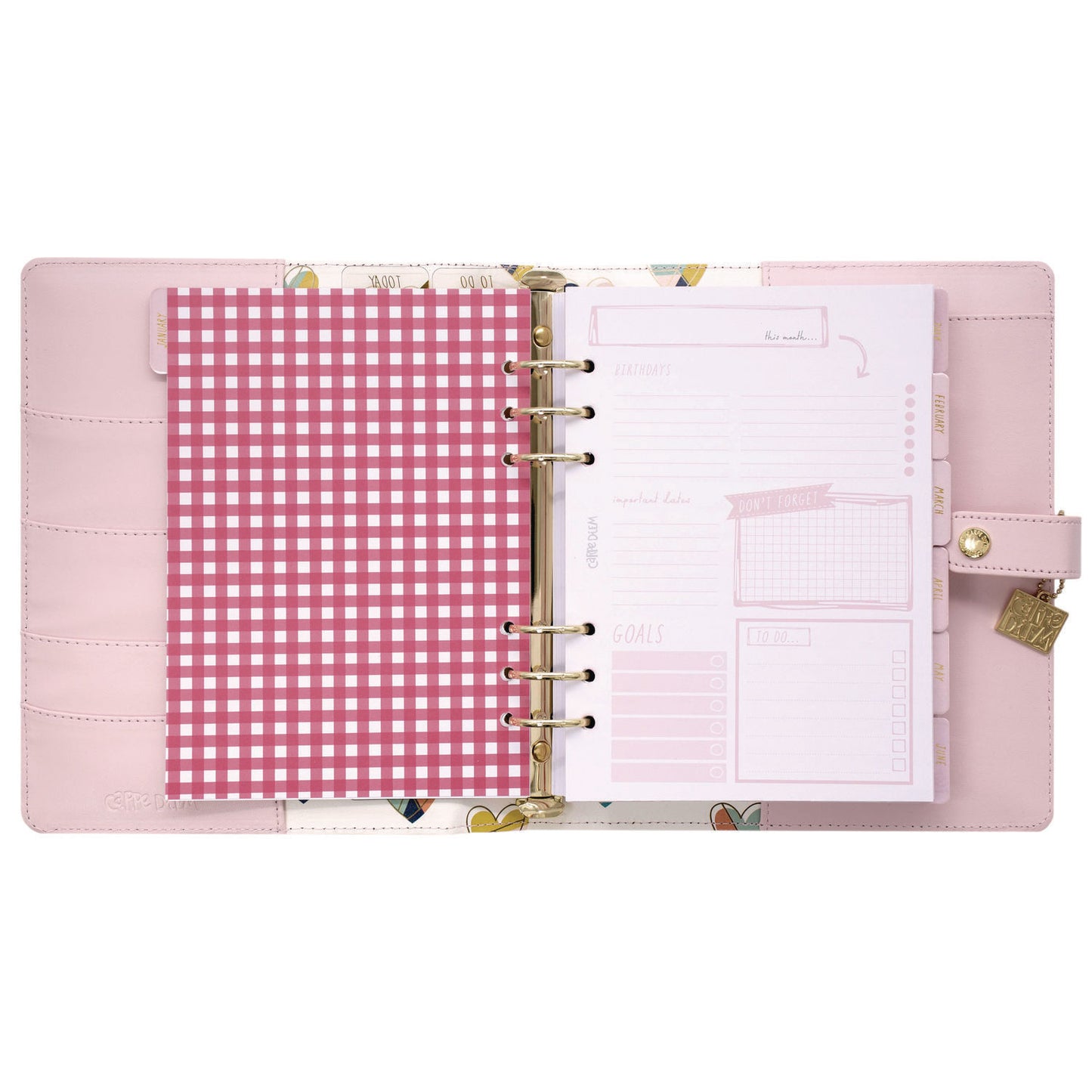 PUKKA PAD A5 Planner, 10.24 x 9.25, Pink Cover, 12-Month (9152CD)