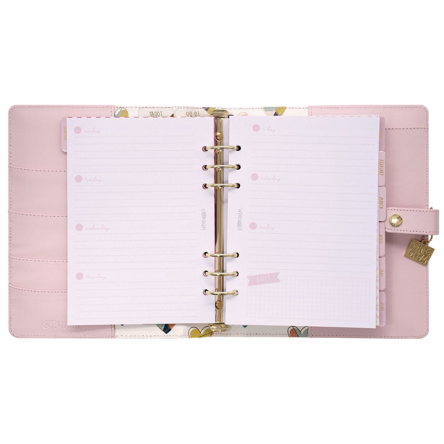 PUKKA PAD A5 Planner, 10.24 x 9.25, Pink Cover, 12-Month (9152CD)