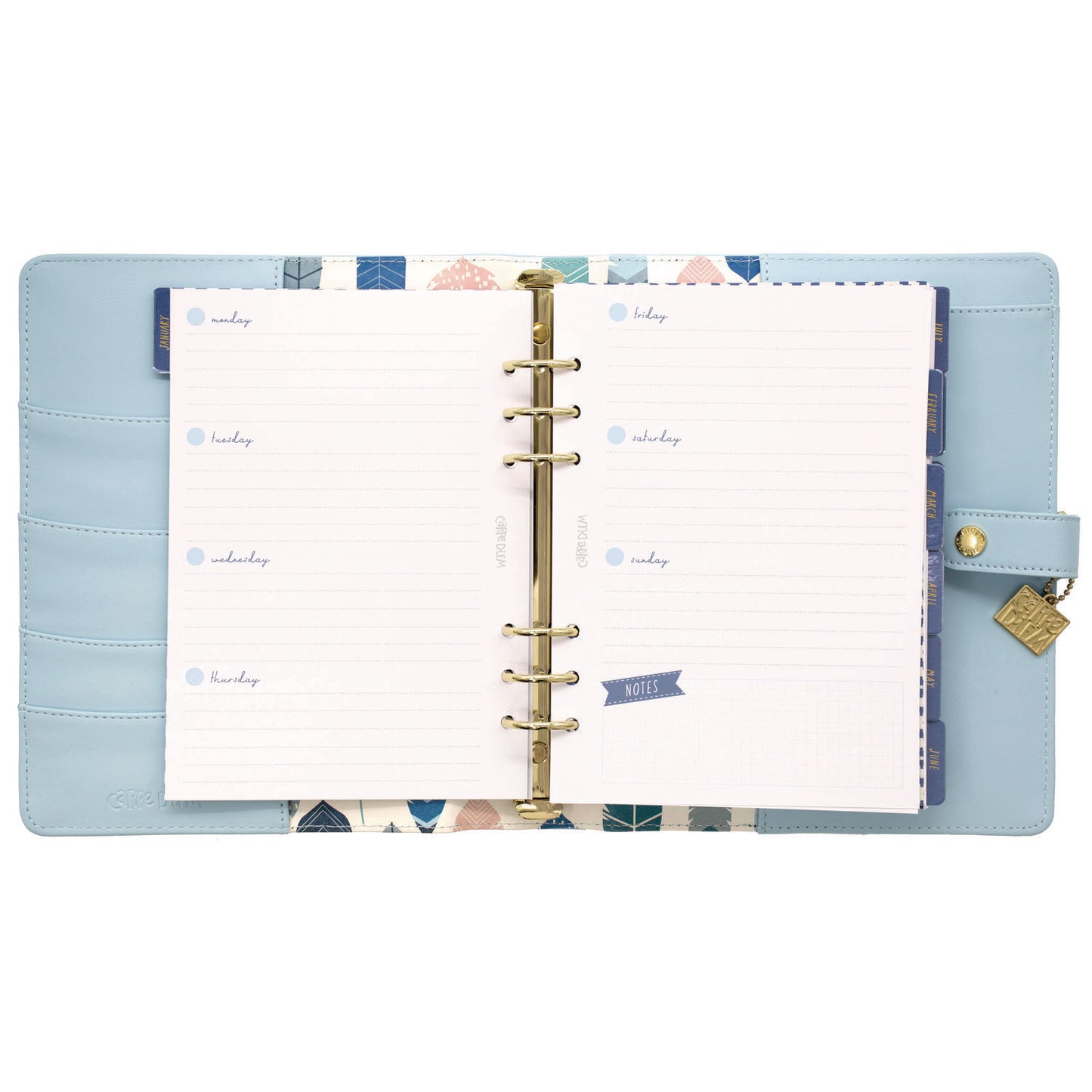 PUKKA PAD A5 Planner, 10.24 x 9.25, Blue Cover, 12-Month (9164CD)