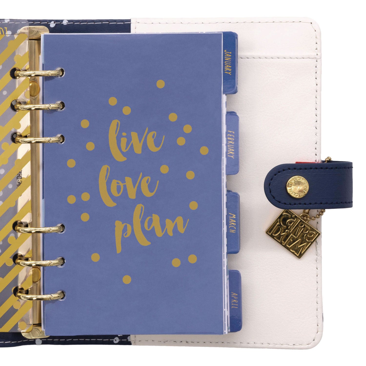 PUKKA PAD Personal Planner, Color Wash, 7.48 x 6.42, Blue/Green/Red/Yellow Cover, 12-Month, Undated (9180CD)