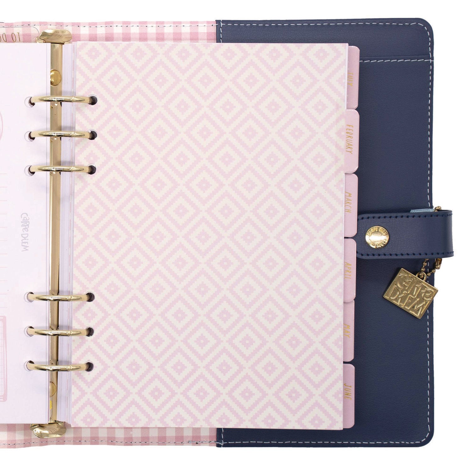 PUKKA PAD A5 Planner, Feathers, 10.24 x 9.25, Blue/Pink/White/Yellow Cover, 12-Month (9198CD)