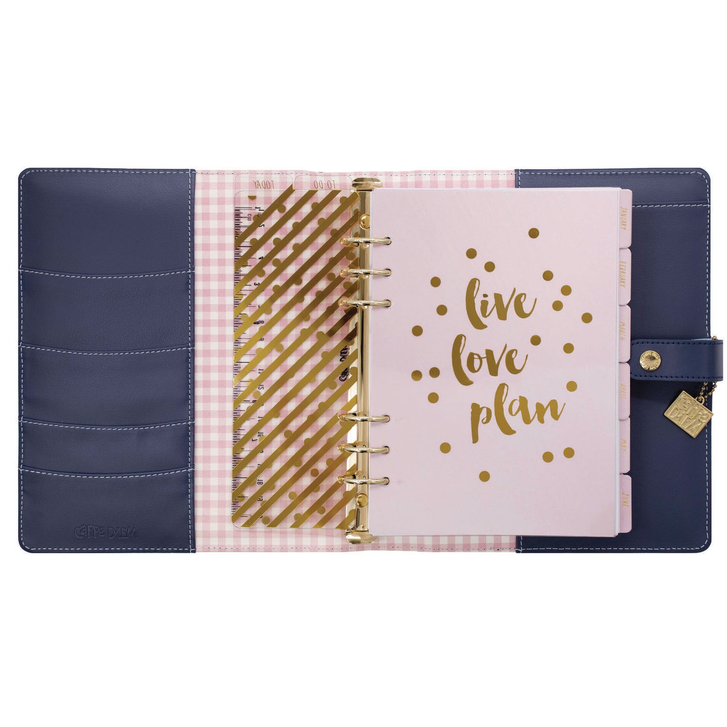 PUKKA PAD A5 Planner, Feathers, 10.24 x 9.25, Blue/Pink/White/Yellow Cover, 12-Month (9198CD)