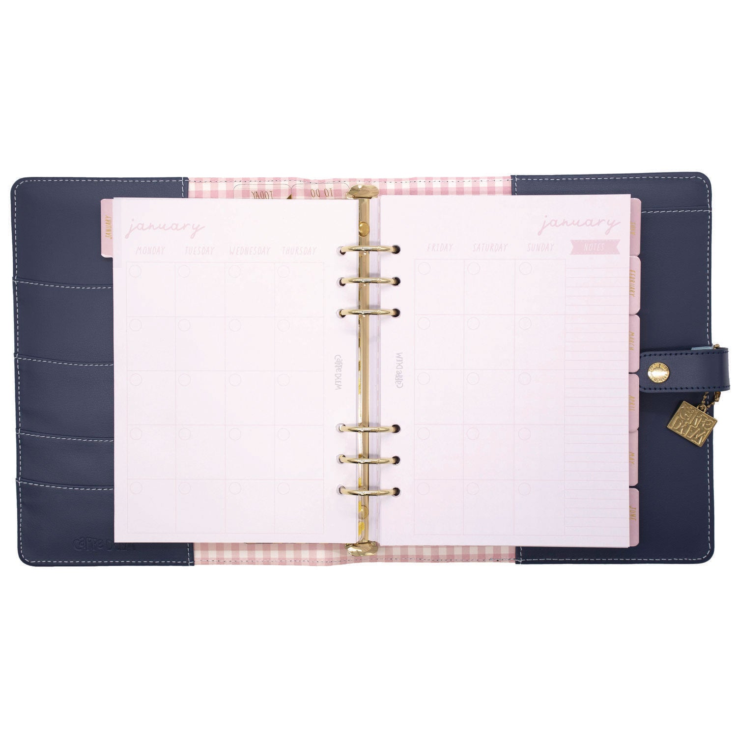 PUKKA PAD A5 Planner, Feathers, 10.24 x 9.25, Blue/Pink/White/Yellow Cover, 12-Month (9198CD)