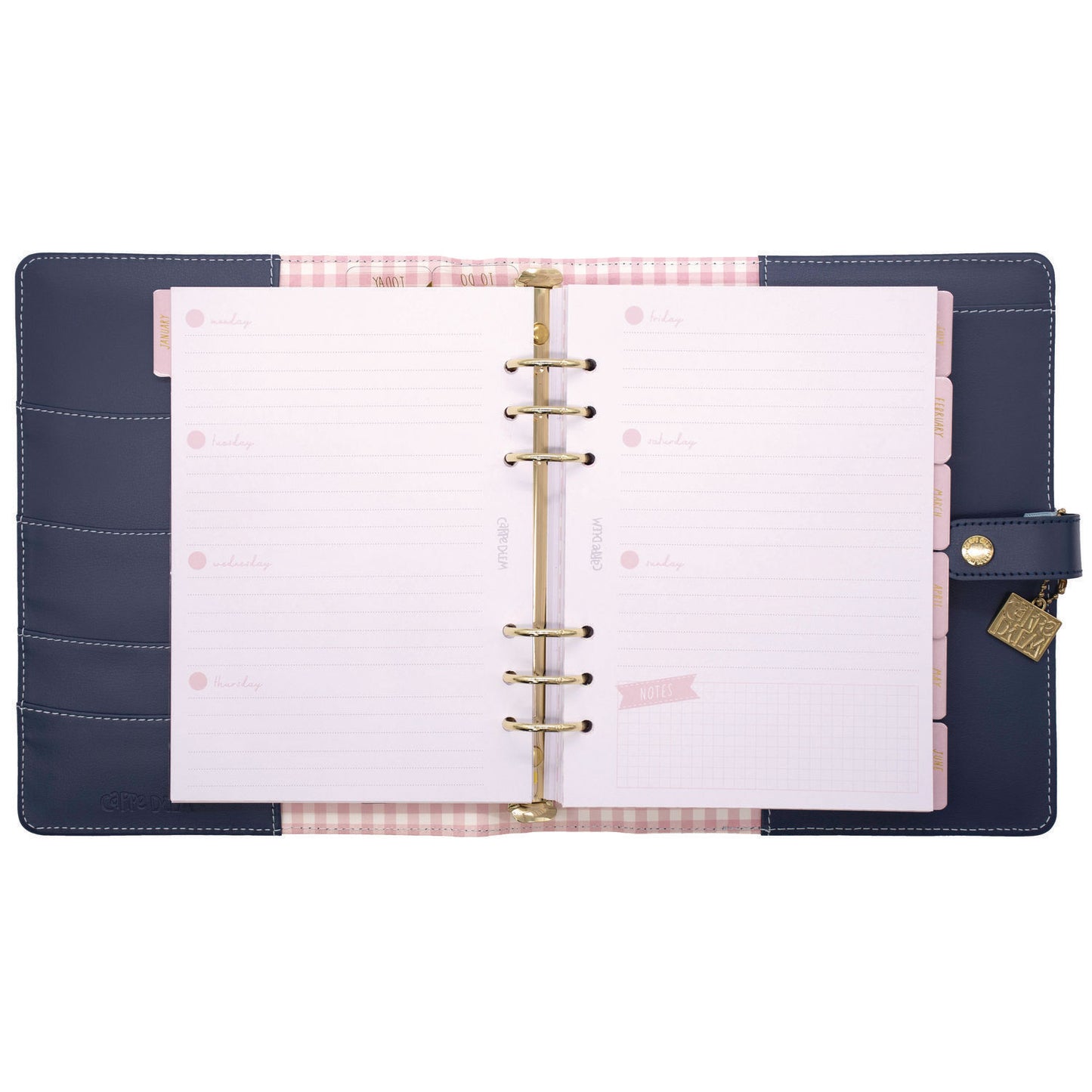 PUKKA PAD A5 Planner, Feathers, 10.24 x 9.25, Blue/Pink/White/Yellow Cover, 12-Month (9198CD)