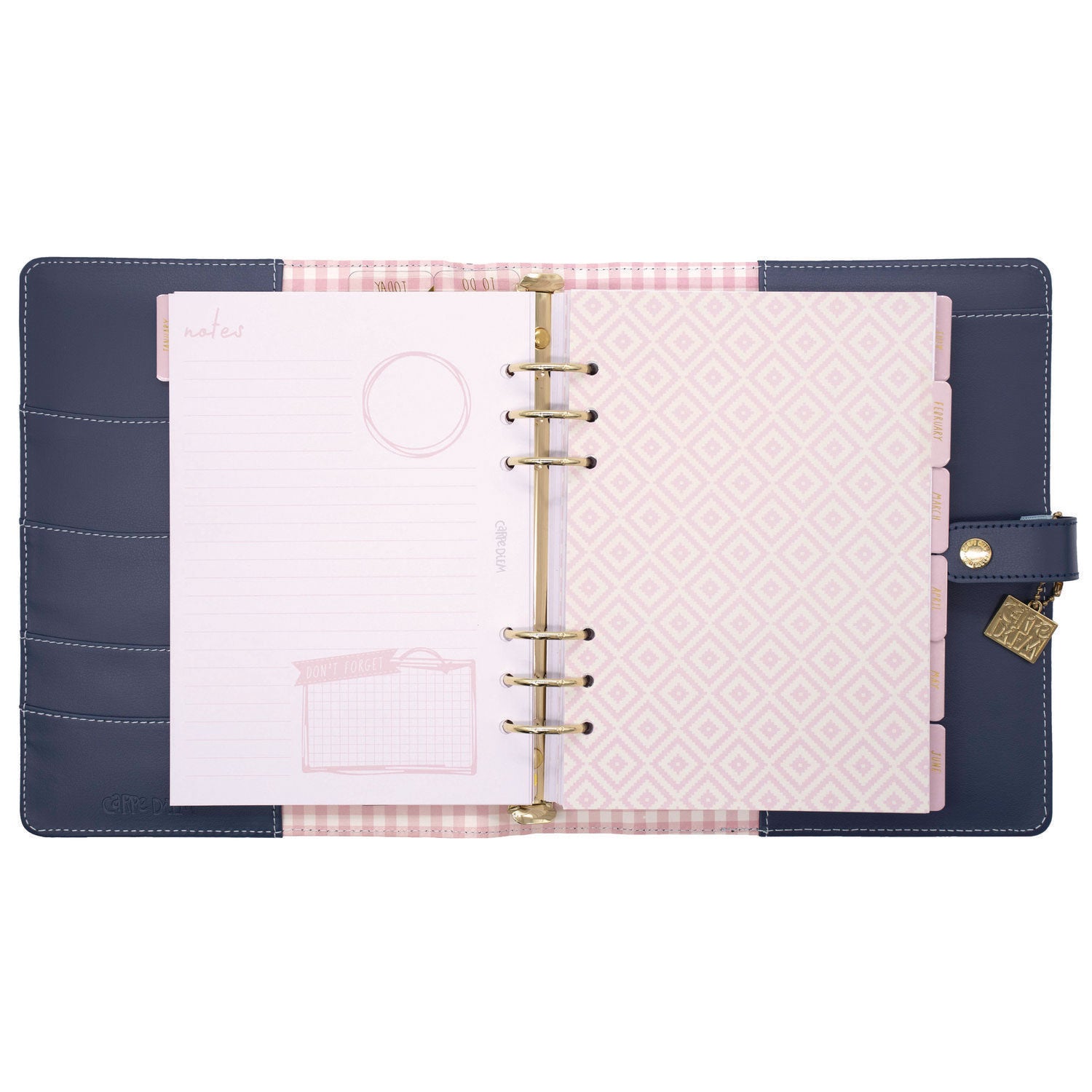 PUKKA PAD A5 Planner, Feathers, 10.24 x 9.25, Blue/Pink/White/Yellow Cover, 12-Month (9198CD)