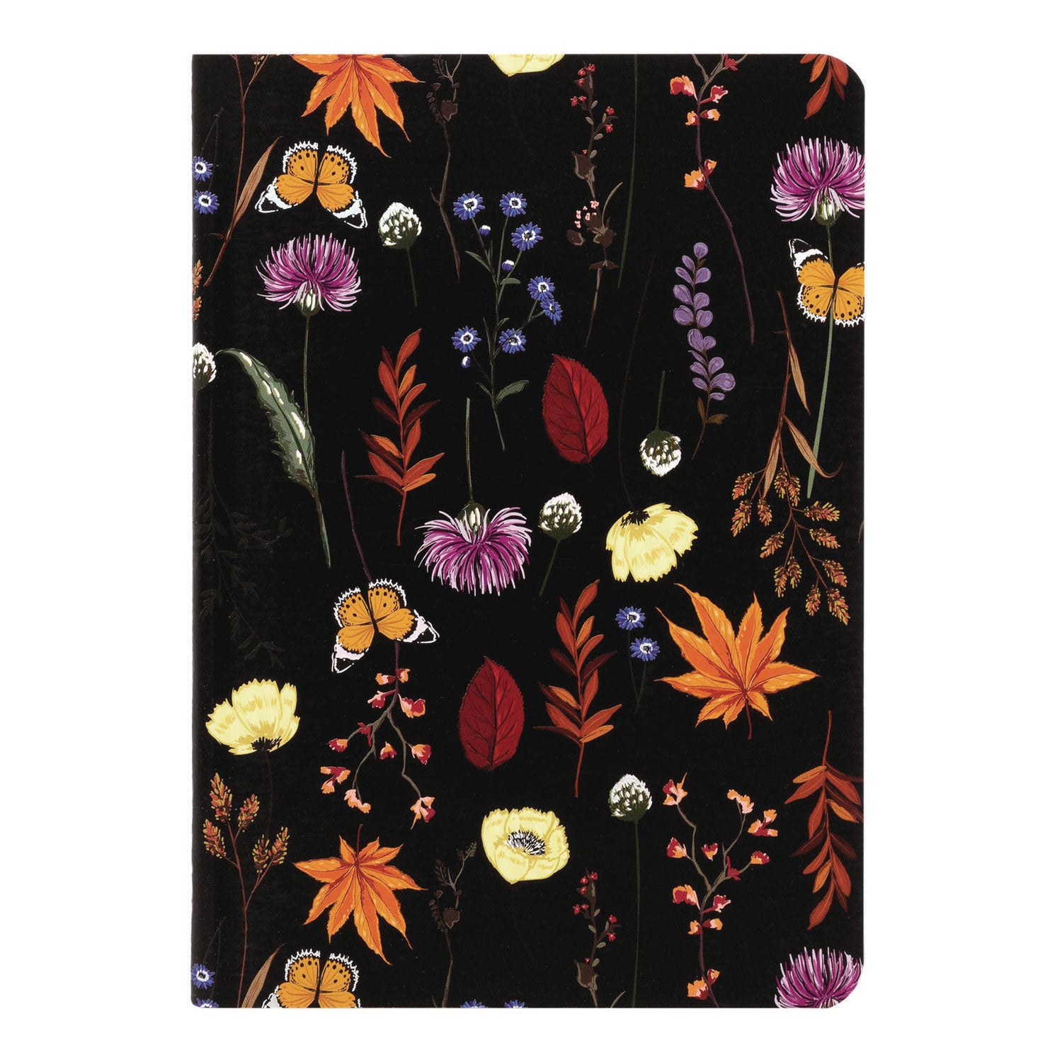 PUKKA PAD B6 Stitched Exercise Book, Narrow Rule, Assorted Blum Floral Covers, (40) 6.8 x 4.6 Sheets, 3/Pack (9503BLM)