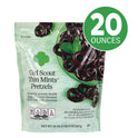 Girl Scouts Thin Mints Pretzels, Mint Chocolate, 20 oz Bag (22002340)