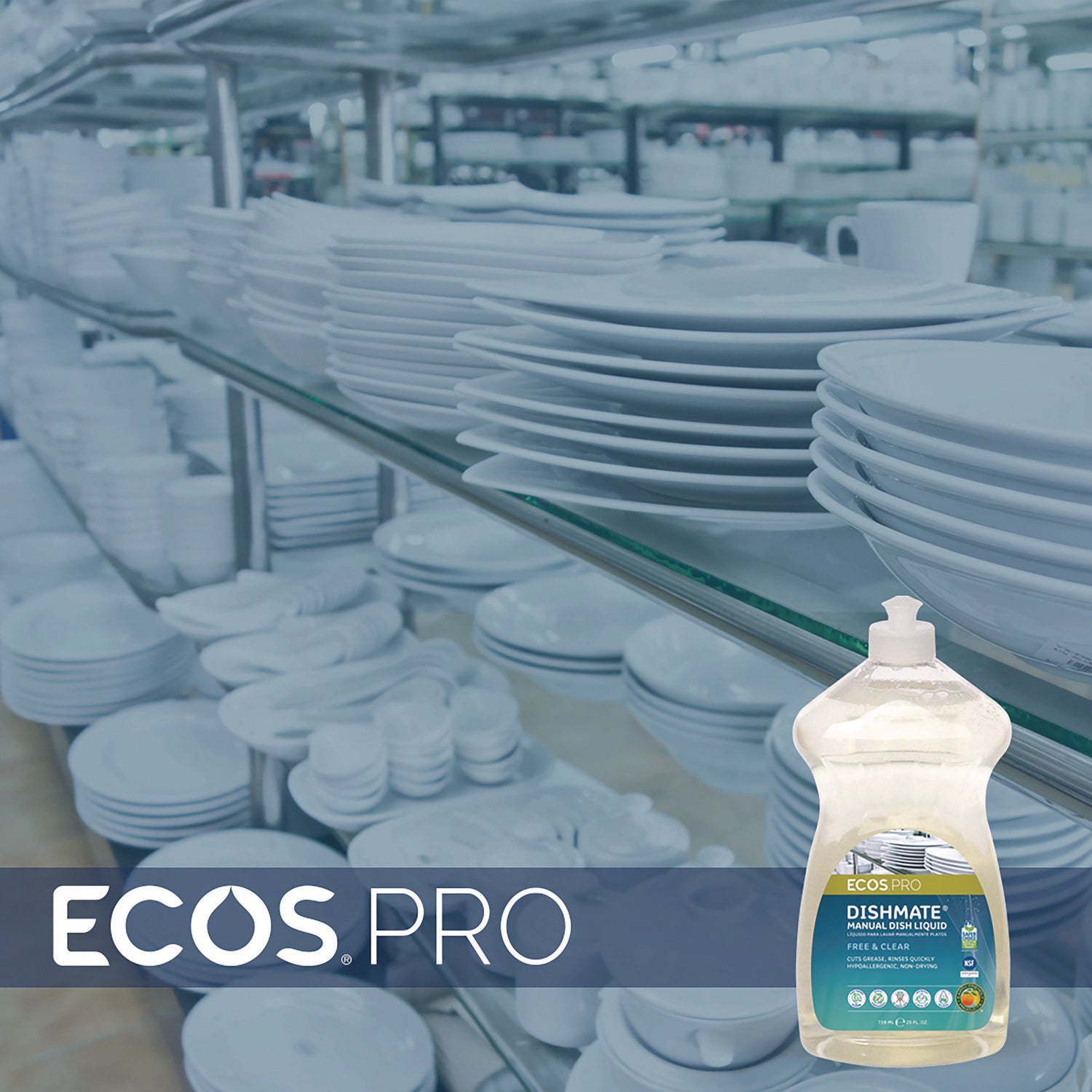 ECOS PRO Dishmate Manual Dish Liquid, Free and Clear, 25 oz Squeeze Bottle, 6/Carton (PL97216CT)