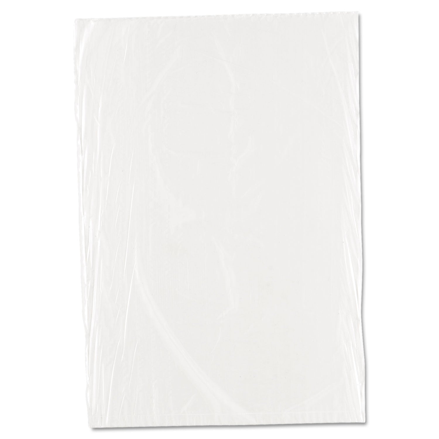 Inteplast Group Food Bags, 10" x 14", Clear, 1,000/Carton (PBR1014)