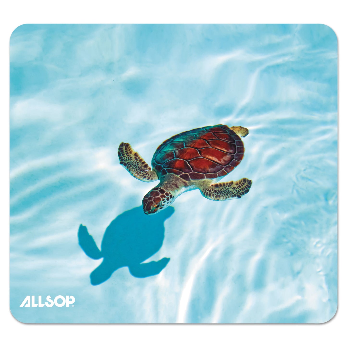 Allsop Naturesmart Mouse Pad, 8.5 x 8, Turtle Design (31425)