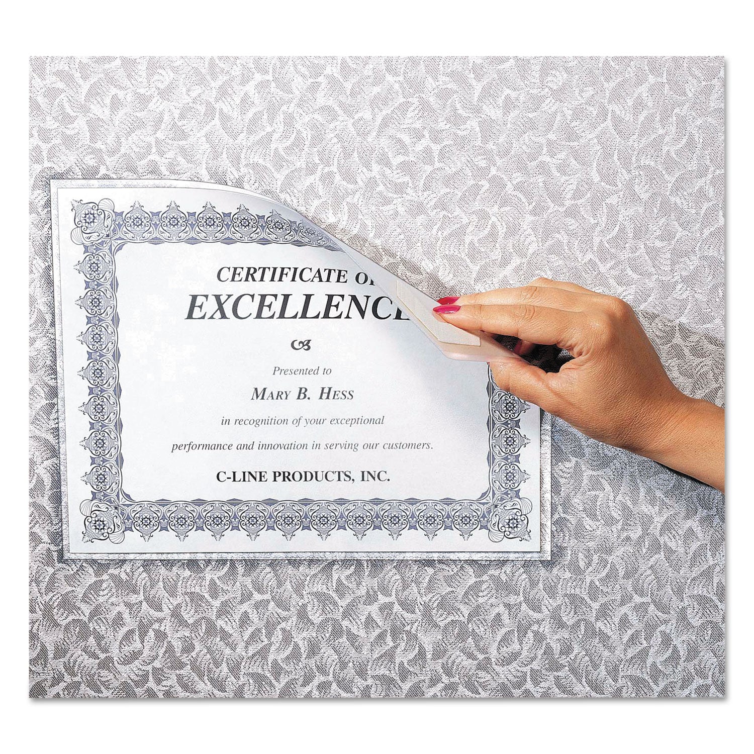 C-Line Cubicle Keepers Hook and Loop-Backed Display, 9.2 x 11.41, Velcro Mount, Clear, 25/Pack (38991)